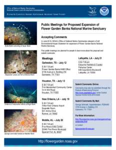 Public Meetings for Proposed Expansion of FGBNMS