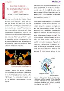 InterPro Protein Focus  16 May 2014 Dionysian mysteries the aldehyde dehydrogenase
