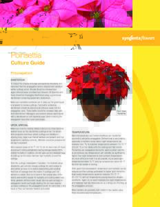 Venus ™ Pink Poinsettia  Poinsettia Culture Guide Propagation SANITATION
