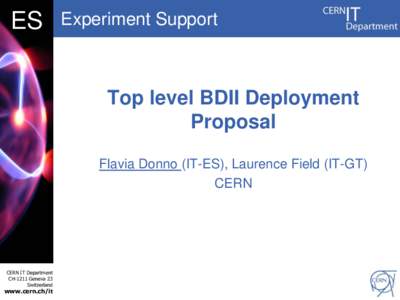 DB ES Experiment Support  Top level BDII Deployment