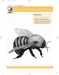 Beekeeping / AzerbaijanGeorgia (country) relations / AzerbaijanTurkey relations / Caspian Sea / Caucasus / BakuTbilisiCeyhan pipeline / Zapovednik / Honey bee / Beekeeper / Bee / Shulgan-Tash Nature Reserve