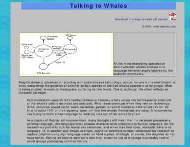 Talking to Whales download this easy-to-read pdf version. ©2004, interspecies.com All the most interesting speculation about whether whales possess true