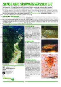 SENSE UND SCHWARZWASSER 5/5 Ein Mosaik von faszinierenden Lebensräumen – Beispiel fliessendes Wasser Die Naturschutzgebiete von Sense und Schwarzwasser gehören zu den schönsten Naturperlen der Schweiz. Die frei flie