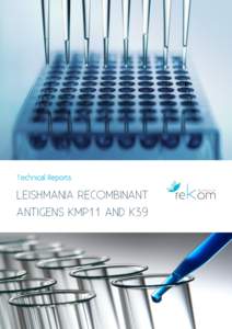 Technical Reports  LEISHMANIA RECOMBINANT ANTIGENS KMP11 AND K39  The aim of the research presented in this technical report is to show the