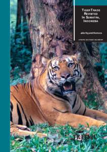 TIGER TRADE REVISITED IN SUMATRA, INDONESIA  Julia Ng and Nemora