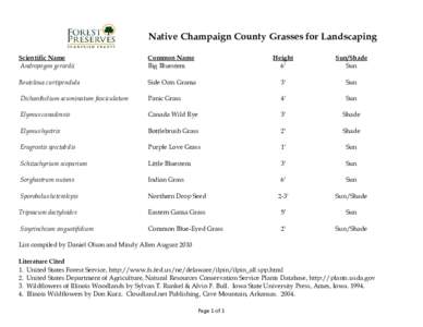 Native Champaign County Grasses for Landscaping Scientific Name Andropogon gerardii Common Name Big Bluestem