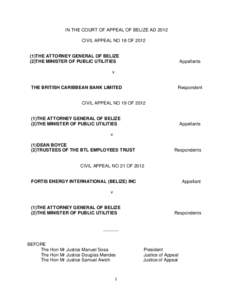 IN THE COURT OF APPEAL OF BELIZE AD 2012 CIVIL APPEAL NO 18 OFTHE ATTORNEY GENERAL OF BELIZE (2)THE MINISTER OF PUBLIC UTILITIES  Appellants