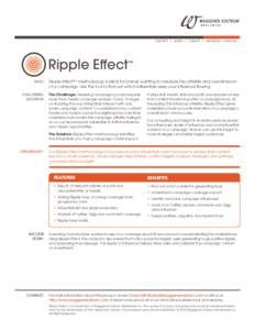 IDENTIFY  Ripple Effect WHO: CHALLENGE/ SOLUTION: