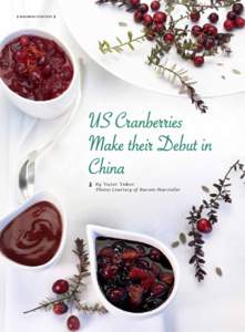 【 Business Strategy 】  US Cranberries Make their Debut in China