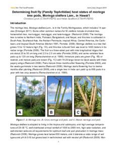 Hānai‘Ai / The Food Provider  June | July | August 2014 Determining fruit fly (Family Tephritidae) host status of moringa tree pods, Moringa oleifera Lam., in Hawai‘i