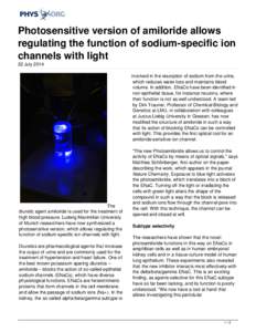 Photosensitive version of amiloride allows regulating the function of sodium-specific ion channels with light