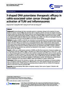 X-shaped DNA potentiates therapeutic efficacy in colitis-associated colon cancer through dual activation of TLR9 and inflammasomes