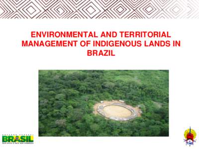 ENVIRONMENTAL AND TERRITORIAL MANAGEMENT OF INDIGENOUS LANDS IN BRAZIL Indigenous People in Brazil