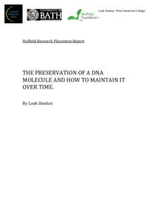 Leah Doolan West Somerset College  Nuffield Research Placement Report THE PRESERVATION OF A DNA MOLECULE AND HOW TO MAINTAIN IT
