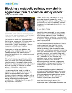 Blocking a metabolic pathway may shrink aggressive form of common kidney cancer