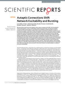 www.nature.com/scientificreports  OPEN Autaptic Connections Shift Network Excitability and Bursting