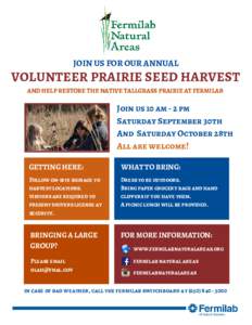 JOIN US FOR OUR ANNUAL  VOLUNTEER PRAIRIE SEED HARVEST AND HELP RESTORE THE NATIVE TALLGRASS PRAIRIE AT FERMILAB   Join us 10 am - 2 pm