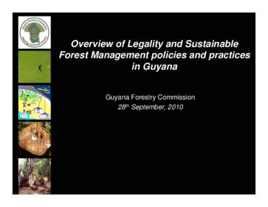 Overview of Legality and Sustainable Forest Management policies and practices in Guyana Guyana Forestry Commission 28th September, 2010