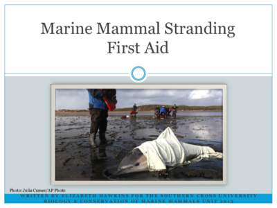 Marine Mammal Stranding First Aid Photo: Julia Cumes/AP Photo WRITTEN BY ELIZABETH HAWKINS FOR THE SOUTHERN CROSS UNIVERSITY BIOLOGY & CONSERVATION OF MARINE MAMMALS UNIT 2013