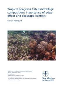 Tropical seagrass fish assemblage composition: importance of edge effect and seascape context Gustav Palmqvist  Department of Ecology, Environment and Plant Sciences