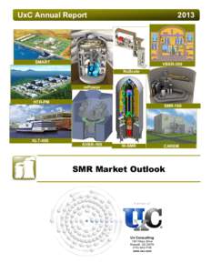 Small Modular Reactor Market Outlook