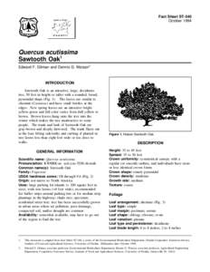 Fact Sheet ST-540 October 1994 Quercus acutissima Sawtooth Oak1 Edward F. Gilman and Dennis G. Watson2