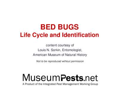 BED BUGS Life Cycle and Identification content courtesy of Louis N. Sorkin, Entomologist, American Museum of Natural History Not to be reproduced without permission