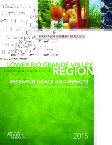 Texas A&M AgriLife Research  LOWER RIO GRANDE VALLEY REGION