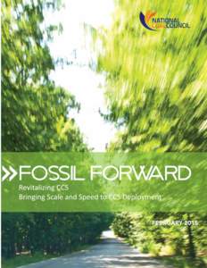 National Coal Council – Fossil Forward  Fossil Forward - Revitalizing CCS Bringing Scale and Speed to CCS Deployment NCC CHAIR Jeff Wallace, Southern Company Services