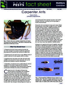 Published by Utah State University Extension and Utah Plant Pest Diagnostic Laboratory  ENTMay 2008