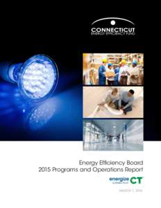 Energy Efficiency Board 2015 Programs and Operations Report MARCH 1, 2016  Executive Summary