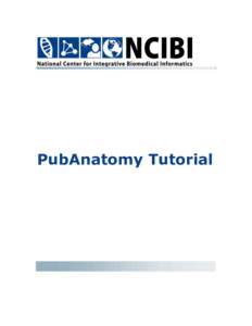 PubAnatomy Tutorial  © 2011 The University of Michigan This work is supported by the National Center for Integrative Biomedical Informatics through NIH Grant# 1U54DA021519-01A1