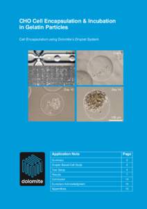 The Dolomite Centre Ltd  CHO Cell Encapsulation & Incubation in Gelatin Particles Cell Encapsulation using Dolomite’s Droplet System