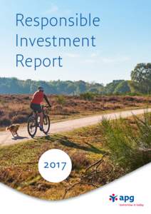 Responsible Investment Report 2017