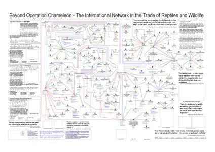 i2 Analyst"s Notebook 8 - Beyond Operation Chameleon