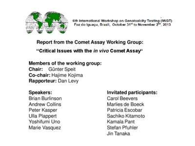Report from the Comet Assay Working Group: “Critical Issues with the in vivo Comet Assay“ Members of the working group: Chair: Günter Speit Co-chair: Hajime Kojima