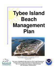 Tybee Island Beach Management