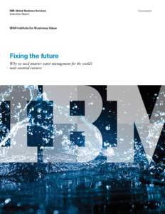 IBM Global Business Services Executive Report IBM Institute for Business Value  Fixing the future
