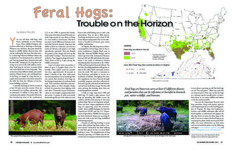 The spread of feral hogs across the U.S. is nothing but bad news.  20 VIRGINIA WILDLIFE u www.HuntFishVA.com