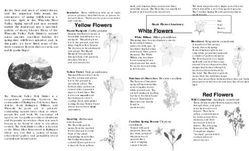 Microsoft Word - wildflower guide