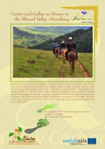 Canter and Gallop on Horses in the Blessed Valley - Bumthang ! Horses have become special addition adventure tourism in Bhutan. The package is a new venture and initiated to give visitors a low carbon option to relish th