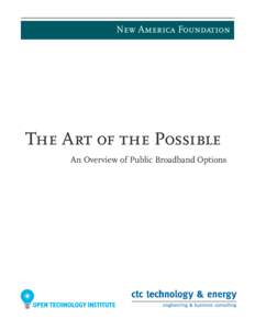New America Foundation  The Art of the Possible An Overview of Public Broadband Options  About the Authors