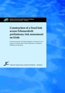 Construction of a fixed link across Fehmarnbelt: preliminary risk assessment on birds