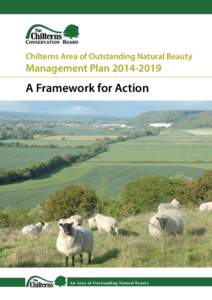 Chilterns Area of Outstanding Natural Beauty  Management PlanA Framework for Action