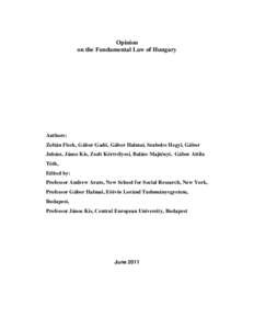 Law / Politics of Hungary / Government / Politics / Constitution of Hungary / Government of Hungary / Constitution of Pakistan / Constitution / Hungarian Constitution / Constitution of the Czech Republic