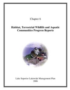 Lake Superior Lakewide Management Plan (LaMP) - March 2006
