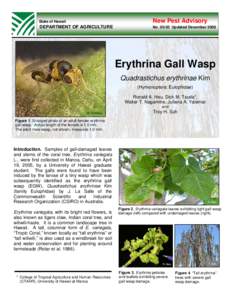 Microsoft Word - NPA Erythrina Gall Wasp MASTER.doc