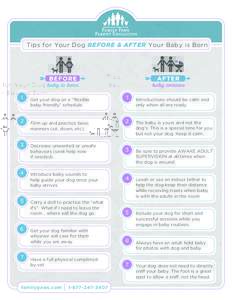 Tips for Your Dog BEFORE & AFTER Your Baby is Born  1 2