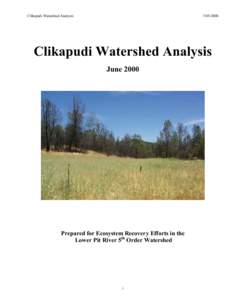 Clikapudi Watershed Analysis - June 2000