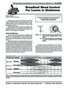 Oklahoma Cooperative Extension Service  HLA-6601 Broadleaf Weed Control For Lawns in Oklahoma